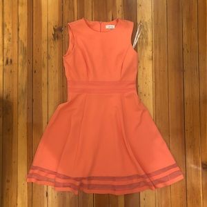 Coral Illusion Stripe Sleeveless Fit/Flare dress